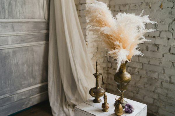 Discover the beauty of authentic feathers for your projects
